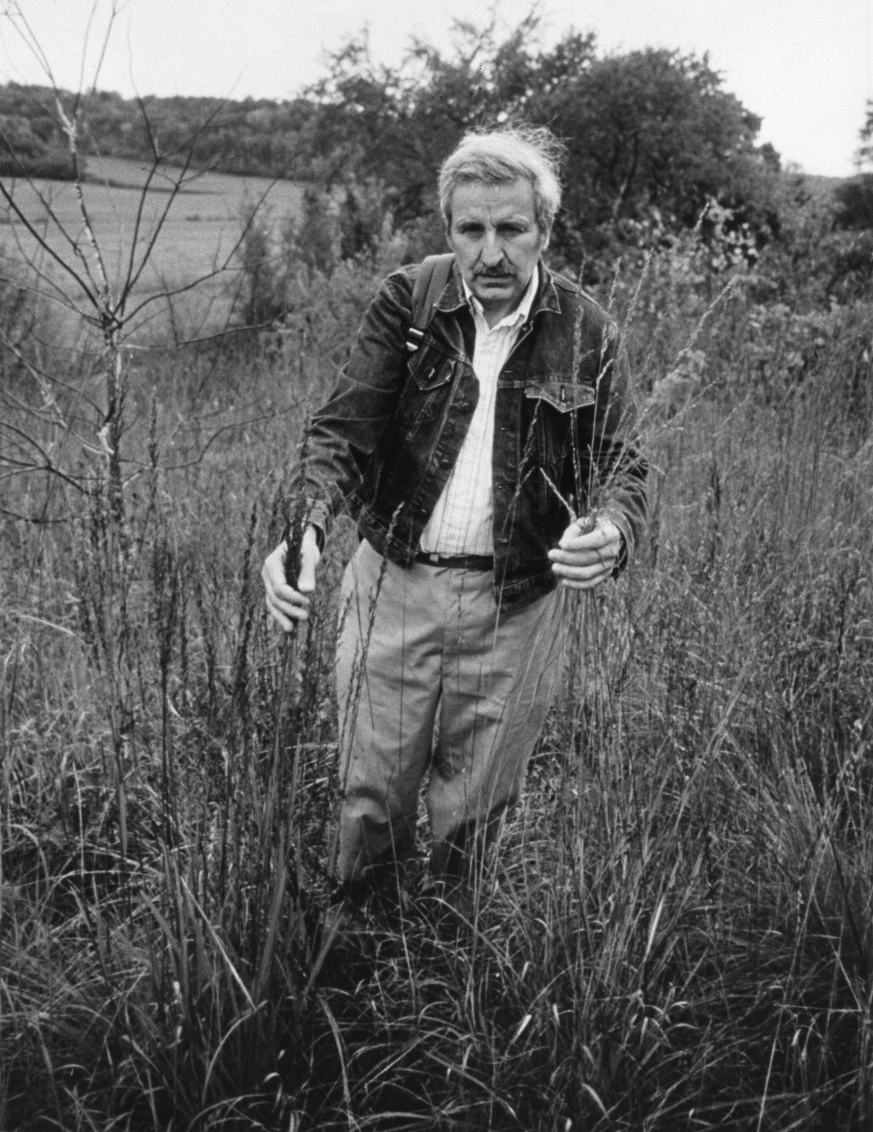 HUGH ILTIS Scans186.jpg